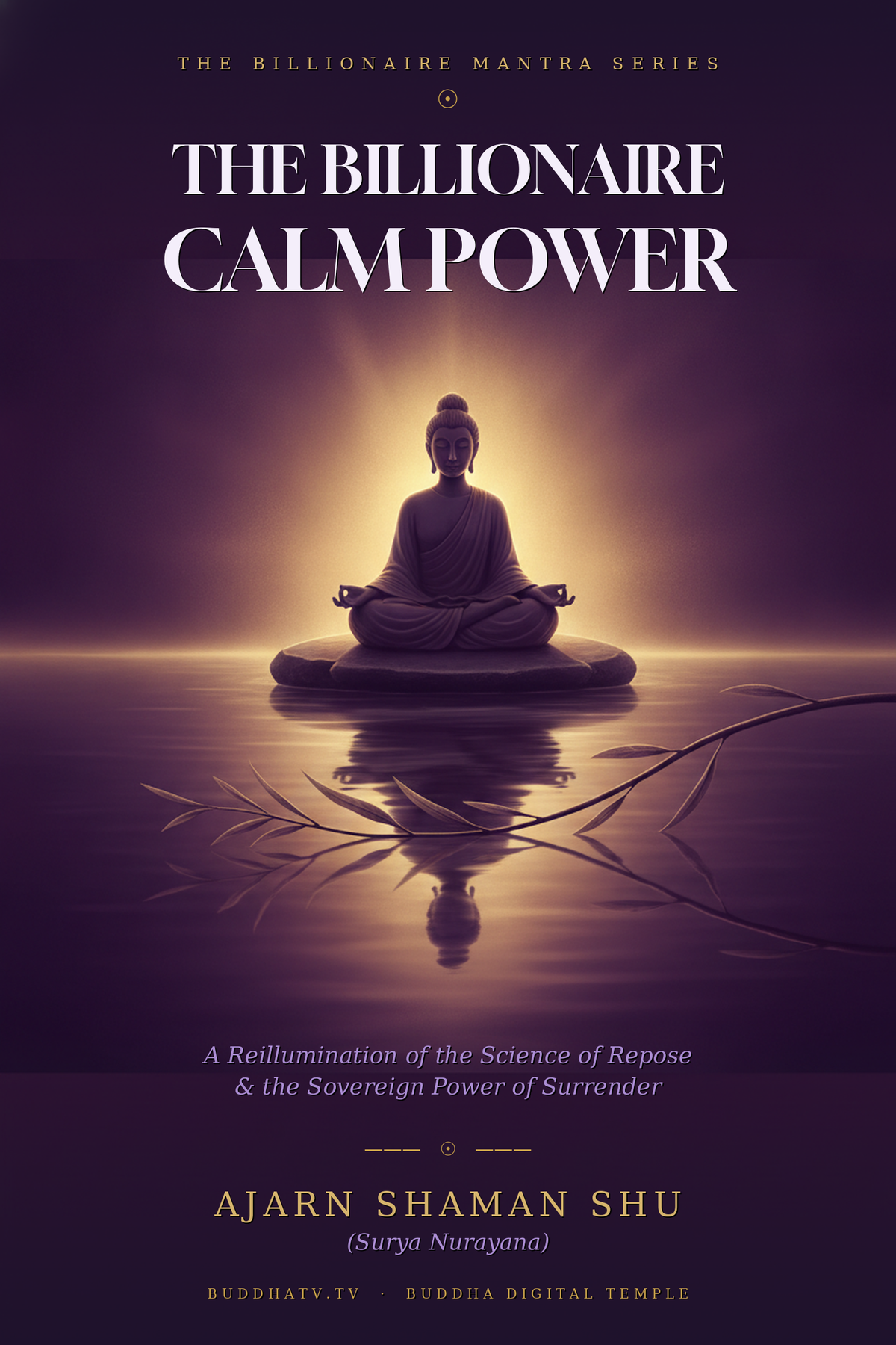 THE BILLIONAIRE CALM POWER: Master Calm, Command Your Energy, Reclaim Your Power